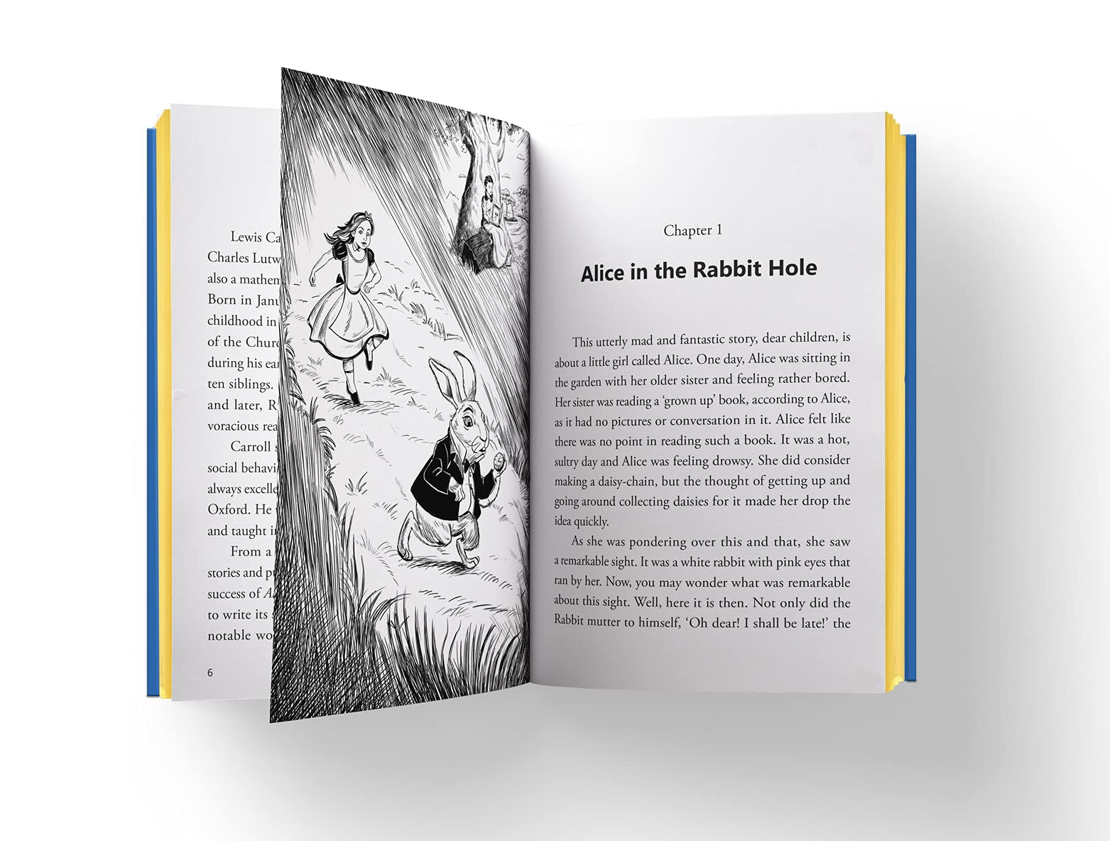 Alice in Wonderland: Illustrated Abridged Children Classics