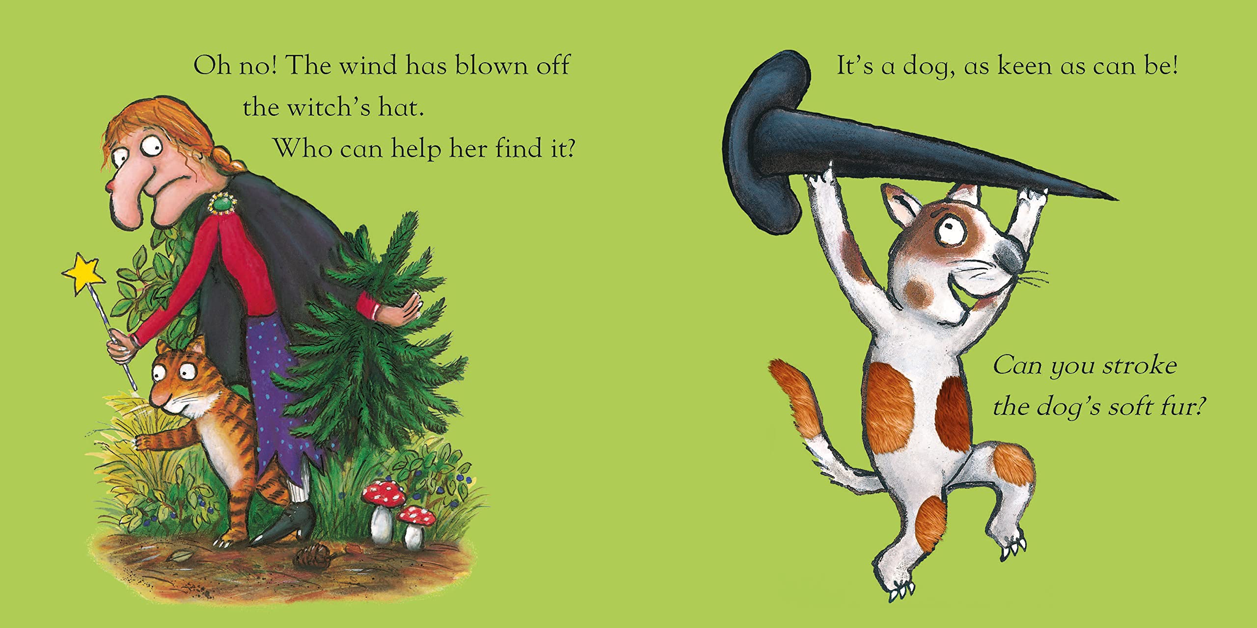 Room on the Broom Touch and Feel
