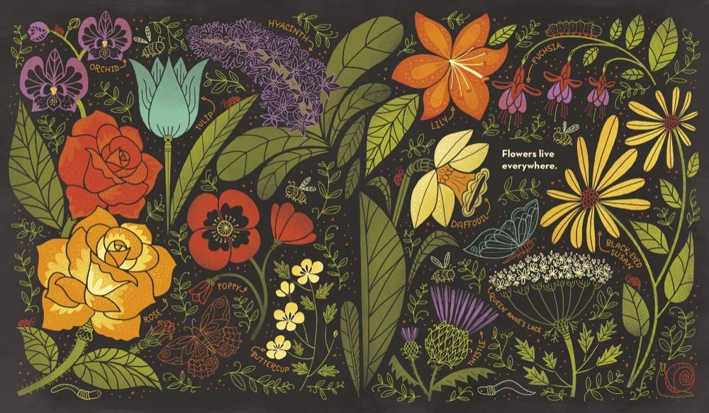 What's Inside A Flower