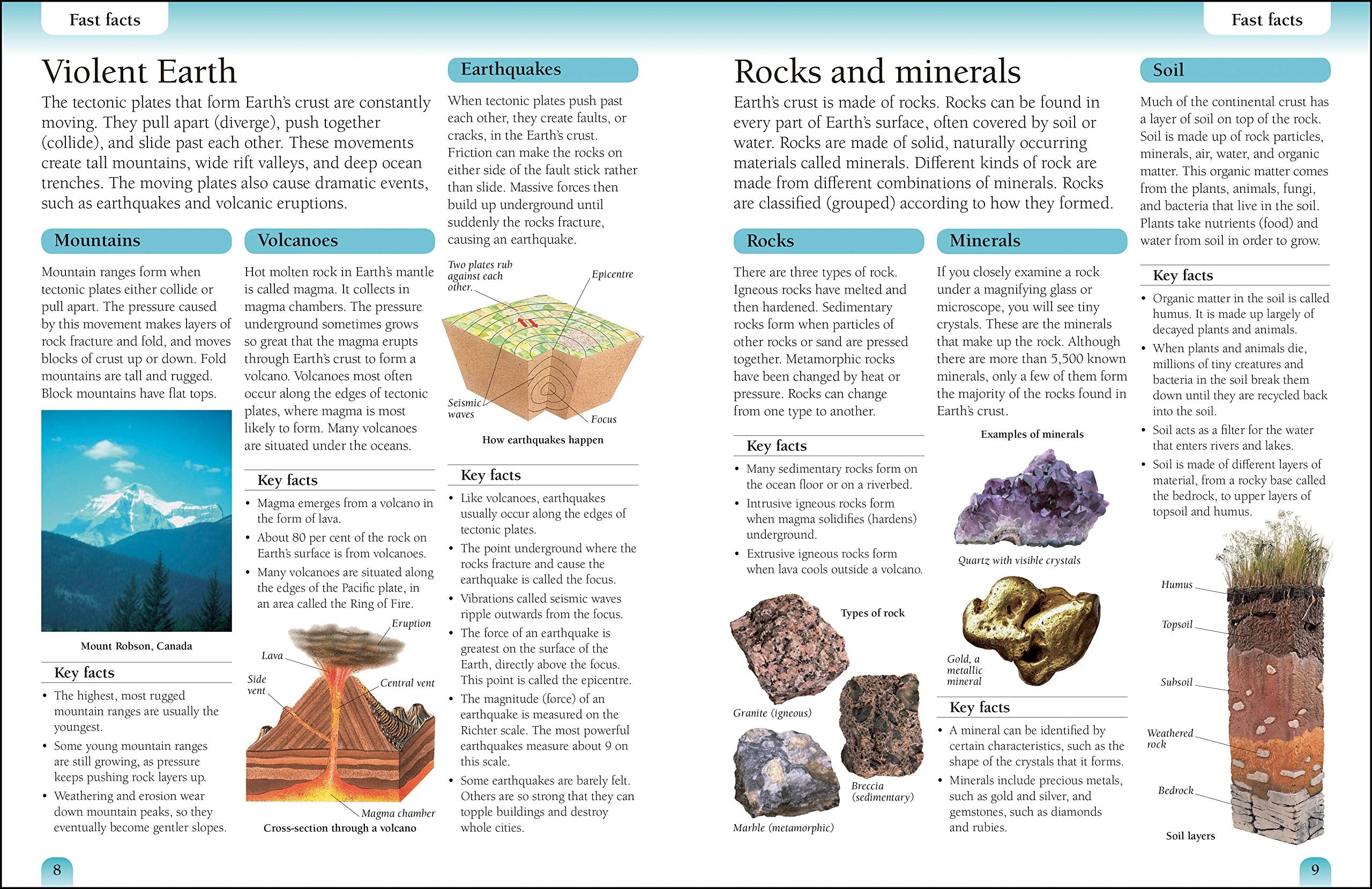 DK Eyewitness Workbooks EARTH