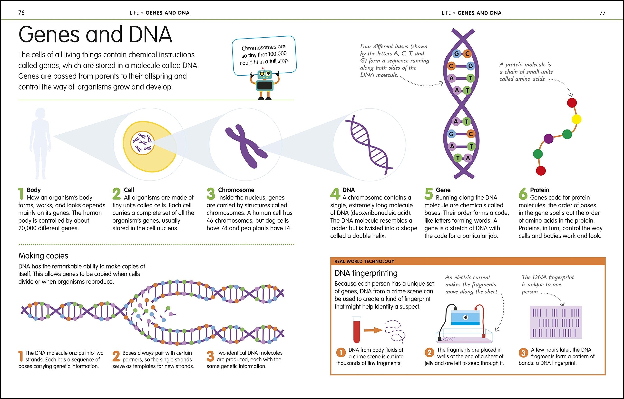 How to Be Good at Science