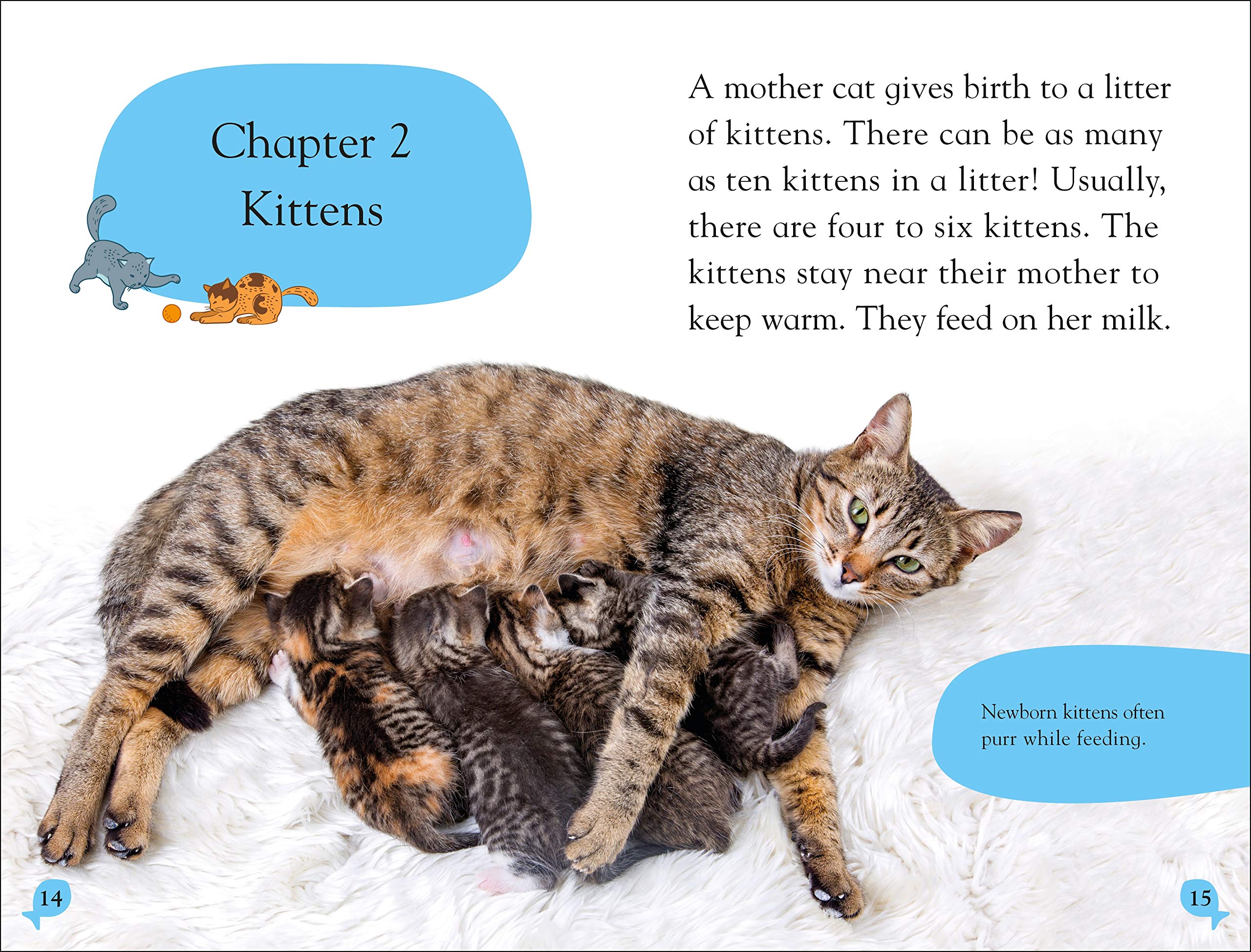 DK Reader Level 2: Cats and Kittens