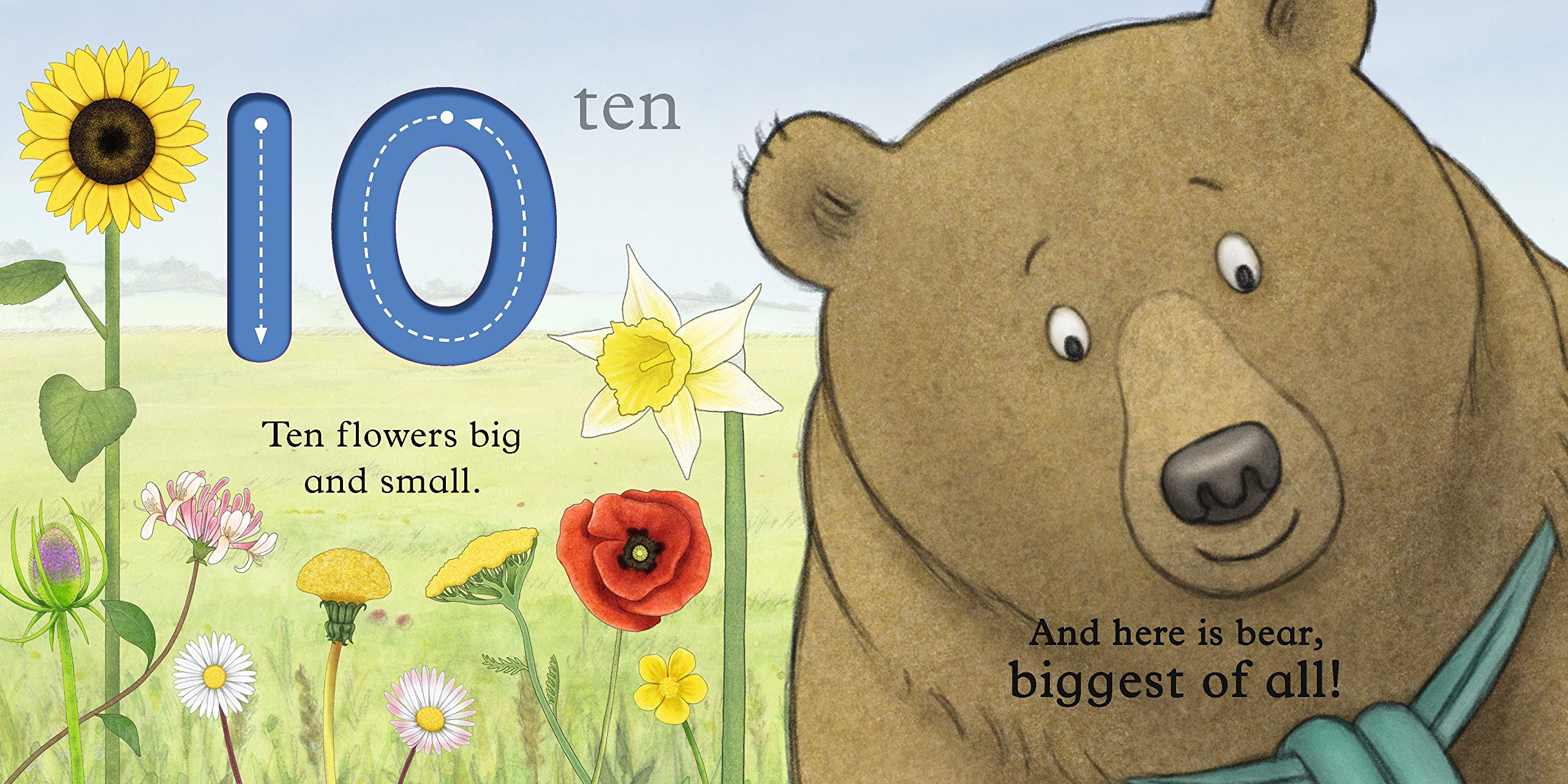 We're Going on a Bear Hunt- My First 123