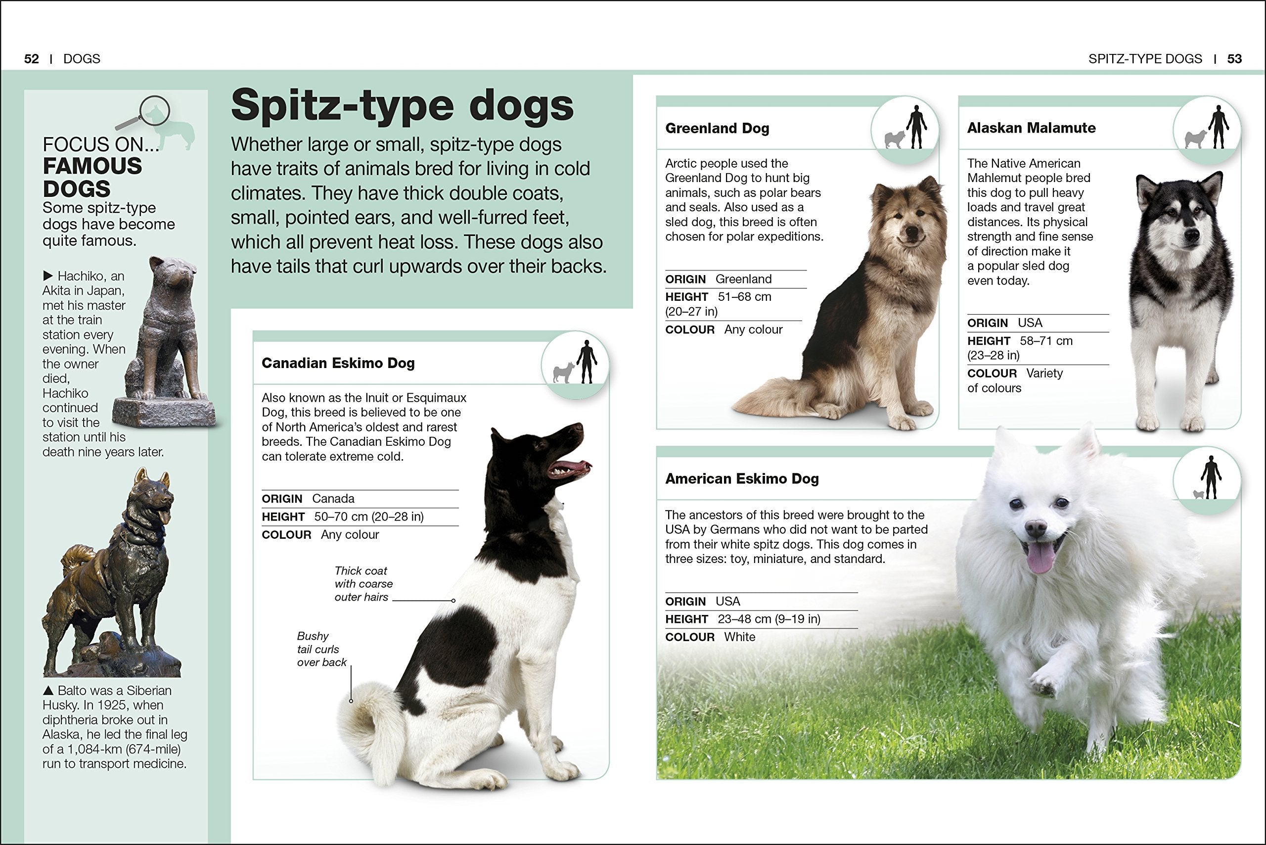 Pocket Eyewitness Dogs: Facts at Your Fingertips