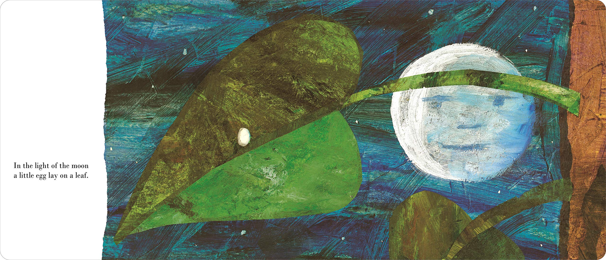 VERY HUNGRY CATERPILLAR : BIG BOARD BOOK