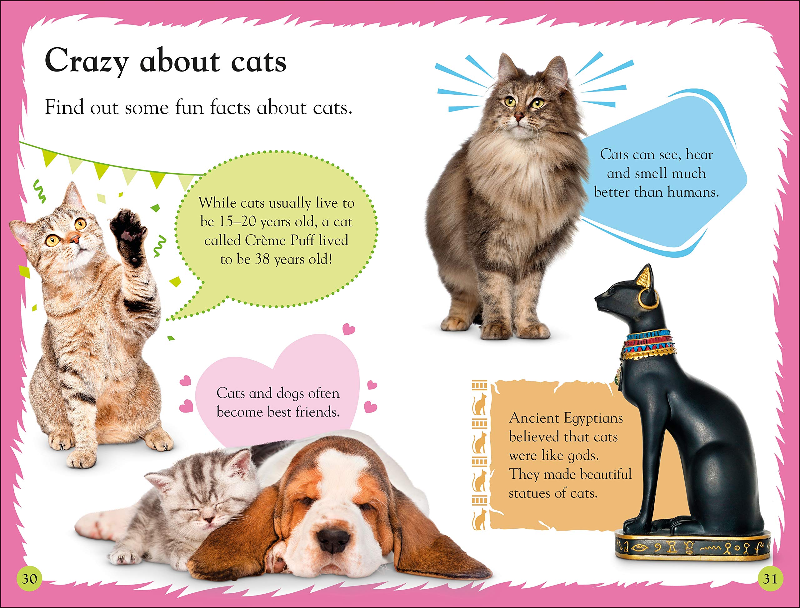DK Reader Level 2: Cats and Kittens