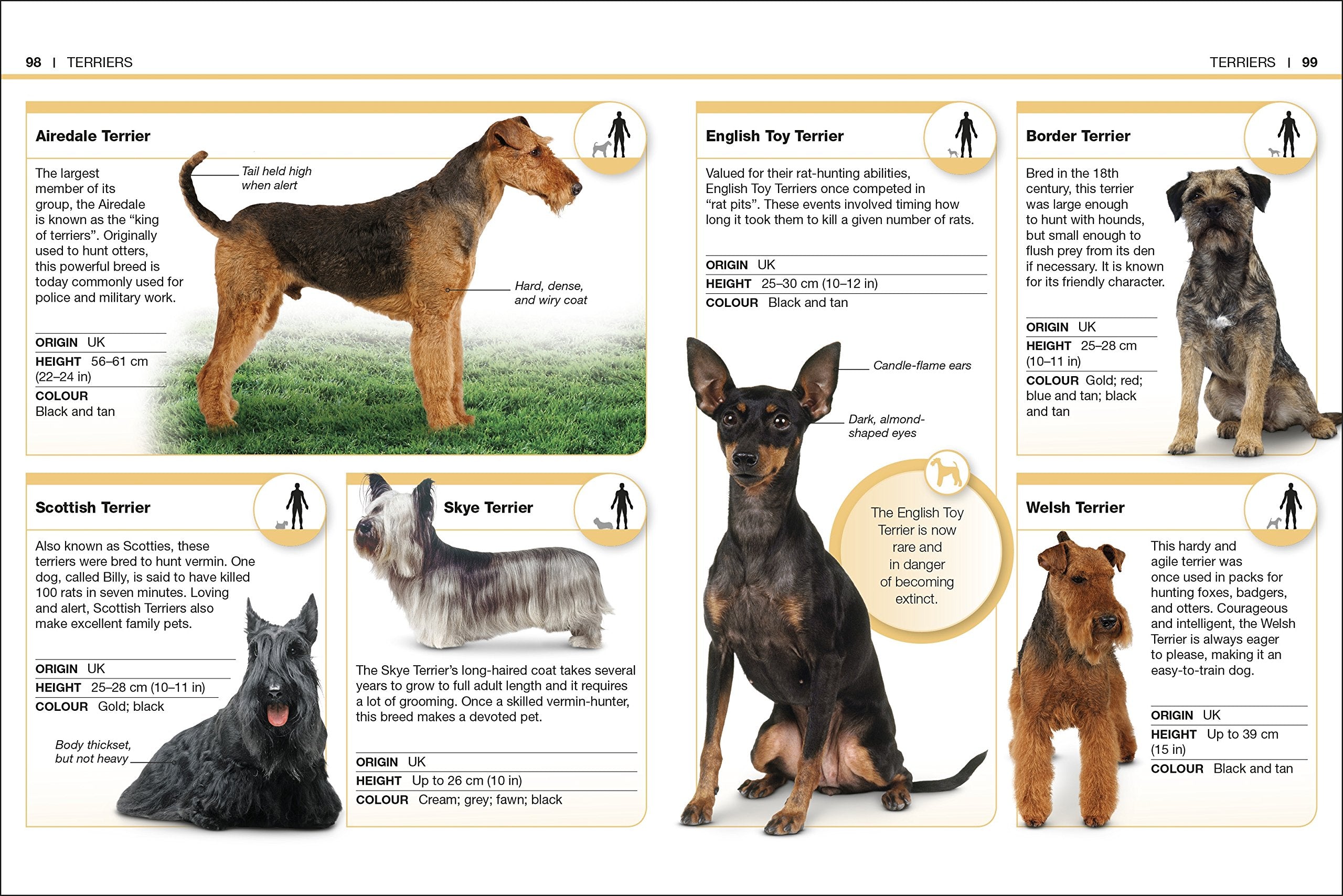 Pocket Eyewitness Dogs: Facts at Your Fingertips